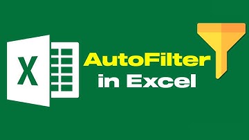 How To Use AutoFilter In MS Excel