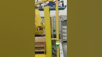 HUGE Box Palletizing Robot