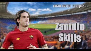 Nicolo Zaniolo - Skills And Goals - Excellent Midfielder