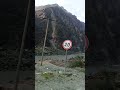 #shorts #nature #video #cool