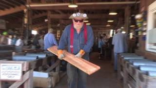 1930s Oregon Steam Sawmill