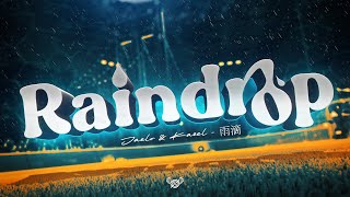 Raindrop | Team Nixus