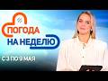 ДО 26 ГРАДУСОВ ТЕПЛА! Дожди и грозы | Погода в Беларуси с 3 по 9 мая | Плюс-минус
