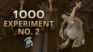 Loot From 1,000 Experiment No.2
