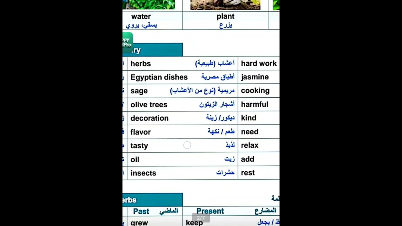 الصف السادس Unit 2 Our nature ( Lesson 1)