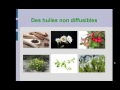 Sept synergies d huiles essentielles pour une diffusion reussie