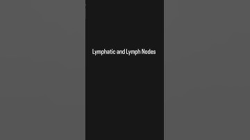Lymphatic and lymph Nodes Notes