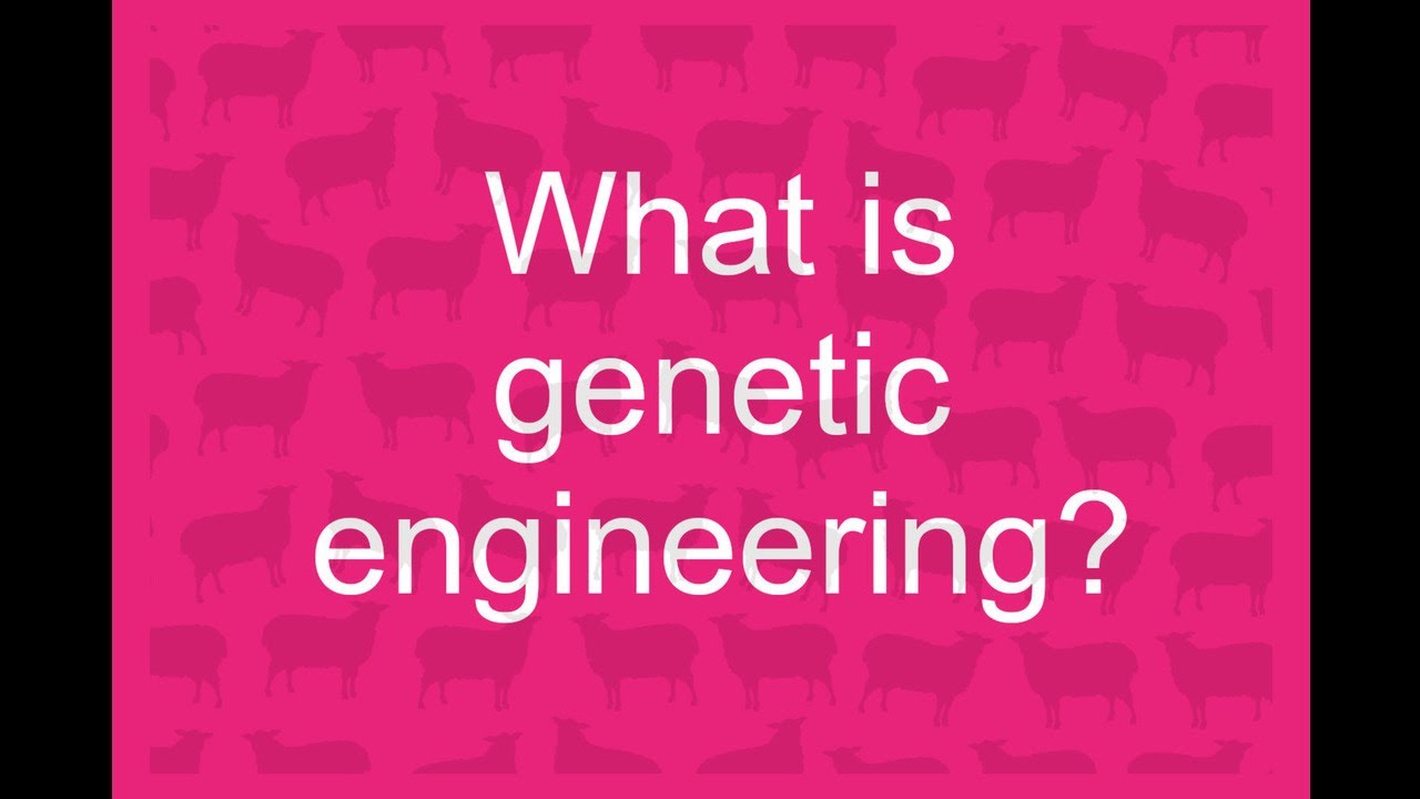 What Is Genetic Engineering Youtube