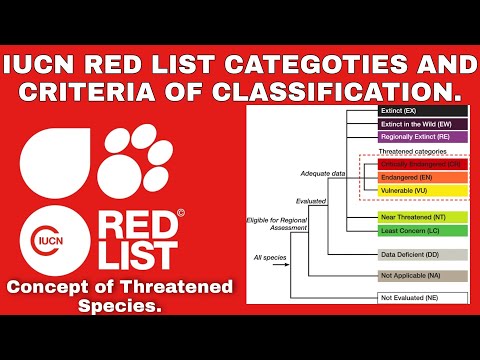 IUCN Red List of threatened species & (Extinct, Vulnerable, Endangered etc.) YouTube