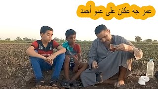 عم أحمد قاعد رايق وعمر ومحمد جم عكننوه