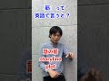「筋」を英語で言うと #shorts