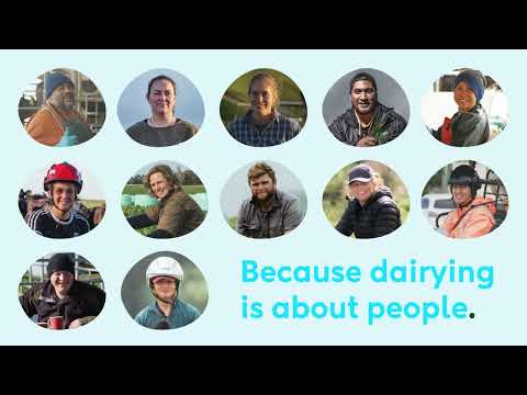 Workplace 360 - video from DairyNZ