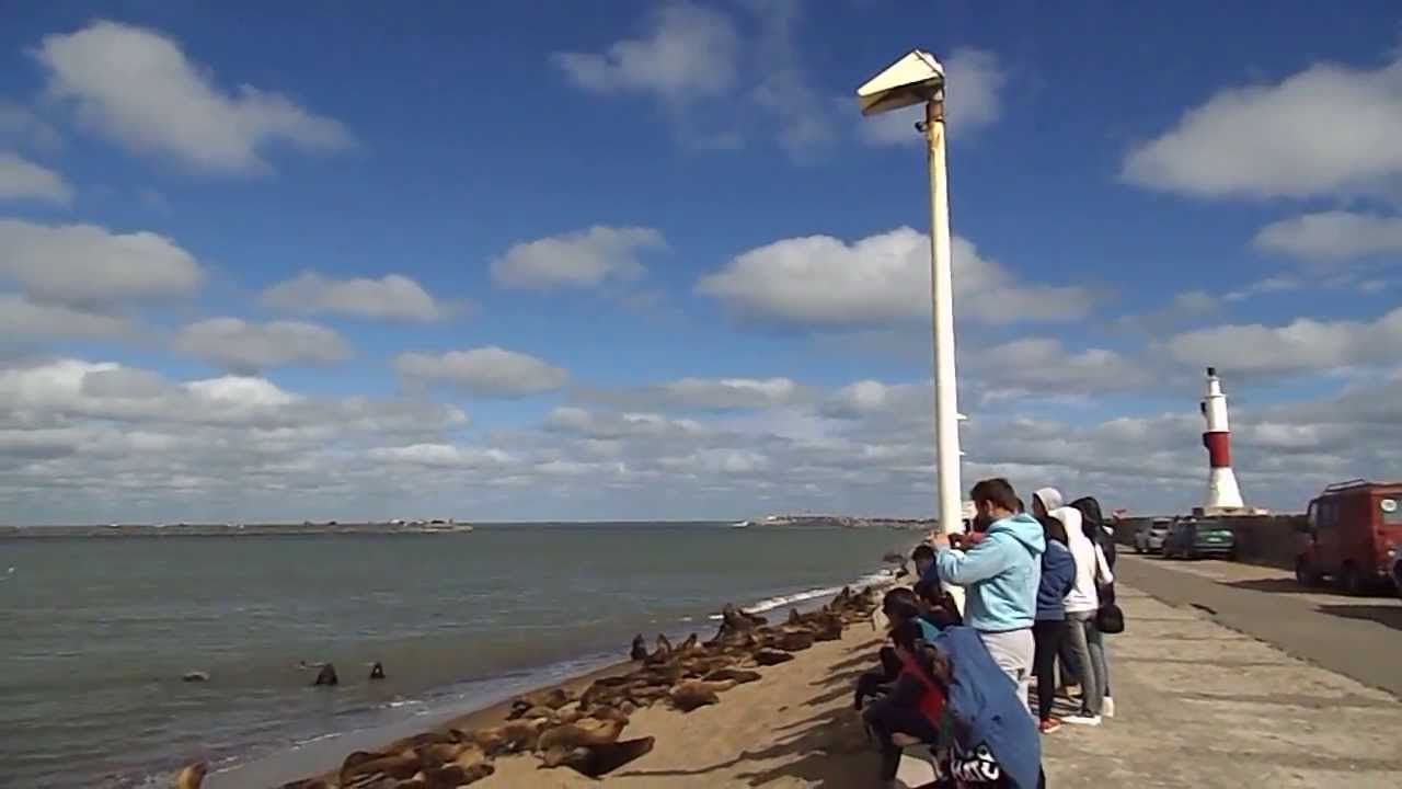 Escollera Necochea, Buenos Aires