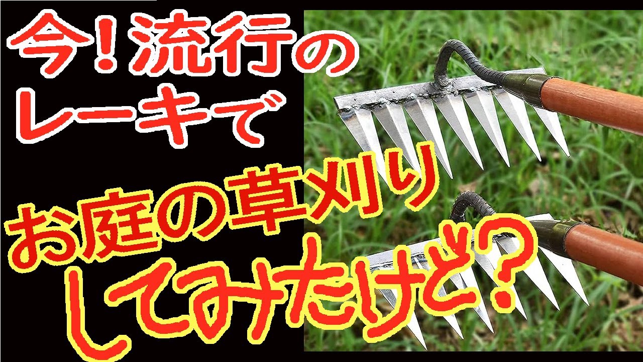 今流行の【草刈りレーキ】を買ってみたけど?　Amazon 1080円【草刈りレーキ】レビュー　【老後は年金で田舎暮らし】