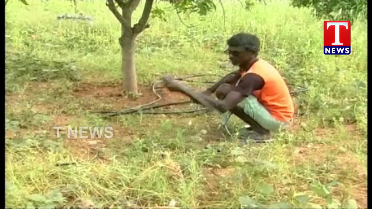 Dalits Thanked to CM KCR over Land Distribution Scheme | Telangana | TNews live Telugu