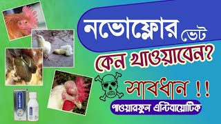 ১ ট ঔষধ দশ মরগ সর বছর সসথ রখর উপয শমরগ-পলনপদধত Novoflor নভফলর