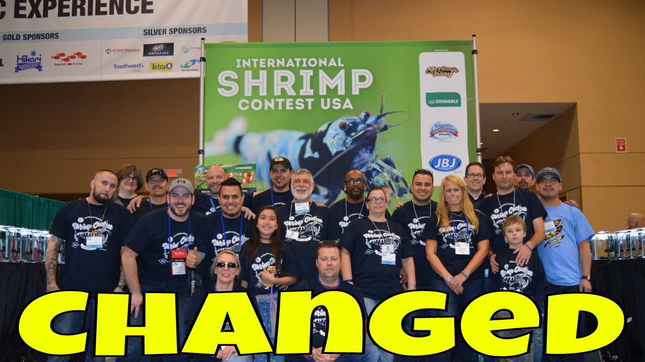 dwarf shrimp compatibility chart All It Takes is a Few People to Change Everything - This Hobby will not be the Same
