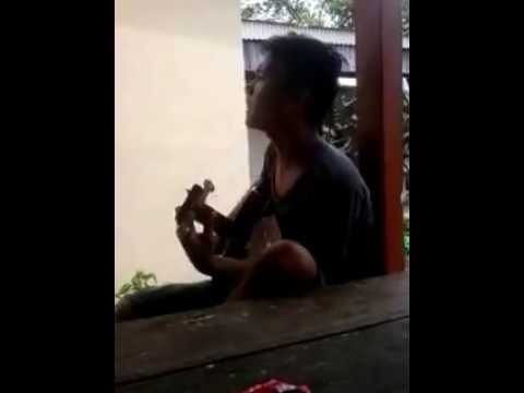 mr.big-wil word acoustic guitars