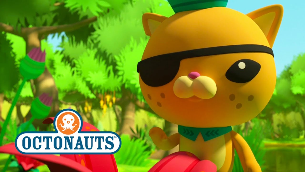 Octonauts Season 4 Exclusive Poison Dart Frogs - YouTube