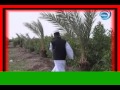 ØªØ­Ù…ÙŠÙ„ Ø§Ù„Ø´Ø§Ø¨ Ø³Ø¹Ø¯ Ø§Ø­Ù„ Ø¬Ø§Ø±Ù‡ Mp3