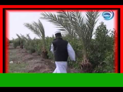 Ø§Ù„Ø´Ø§Ø¨ Ø³Ø¹Ø¯ Youtube