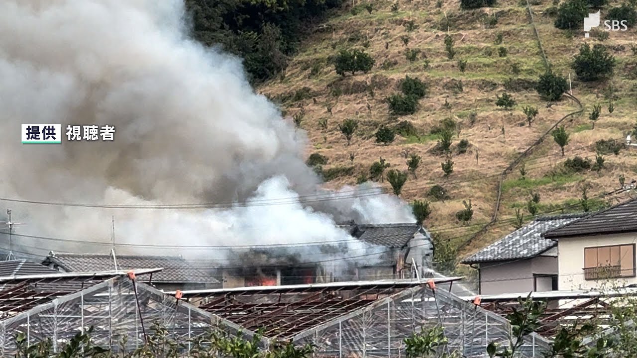 死んだラ煙 maxresdefault.jpg