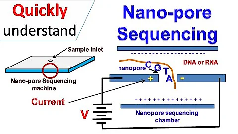 Nanopore sequencing - DayDayNews