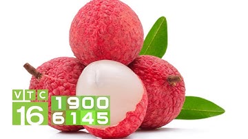 67.000 tấn vải thiều Lục Ngạn "đổ bộ" Hà Nội | VTC16