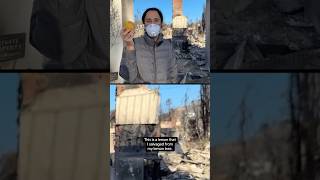Woman salvages lemon from tree at home destroyed by L.A. wildfires #shorts
