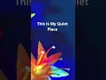 This Is My Quiet Place 🎧✨ #smoothjazz #jazzmusic #ambientjazz #chillvibes #newmusic #spotifyplaylist