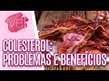 COLESTEROL: benefícios para o corpo e problemas em caso de excesso - Você Bonita (08/02/21)