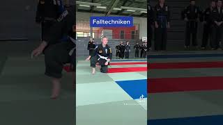 Falltechniken