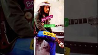 Bob Marley vs Funkstar De Luxe ~ Sun Is Shining Remix