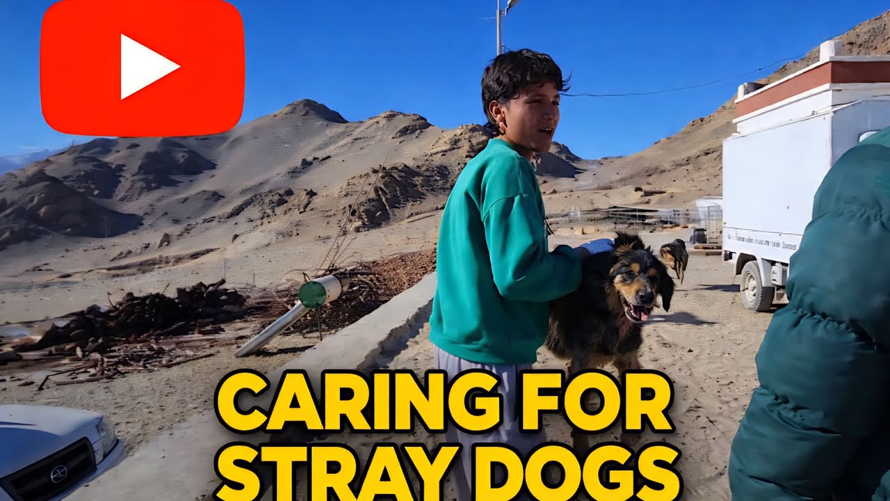 Aaj mai aur meri dost ko bemire kutta milgaya😥😱