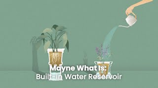 What Is | A Built-in Water Reservoir