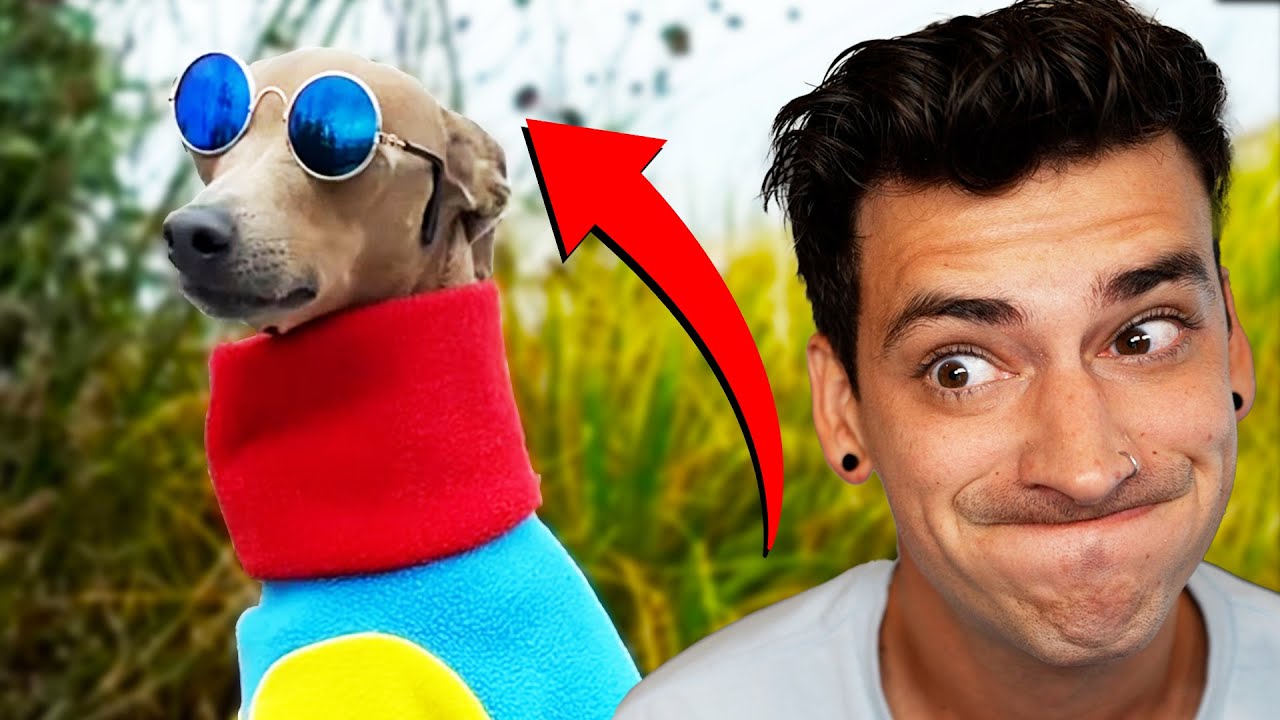 TRY NOT TO LAUGH 31!