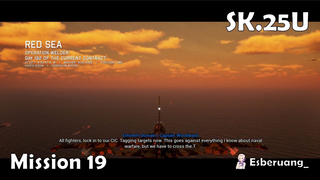 SK.25U - Mission 19 : Red Sea | Project Wingman