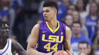 RIP Wayde Sims | Next Ones | LSU Tigers Rim Enforcer | 2017-2018 Tribute Highlights