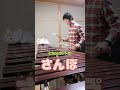 【となりのトトロ】さんぽをマリンバ で演奏しました