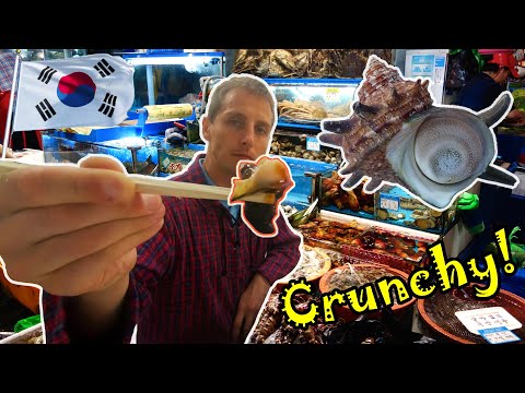 Korean Food Adventures, Ep. 1 - Horned Turban Snail Sashimi. Korean street food.