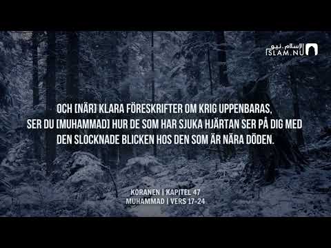 Surah Muhammad (17-24) - Muhammad Siddiq Al-Minshawi