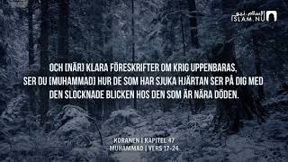 Surah Muhammad (17-24) - Muhammad Siddiq Al-Minshawi