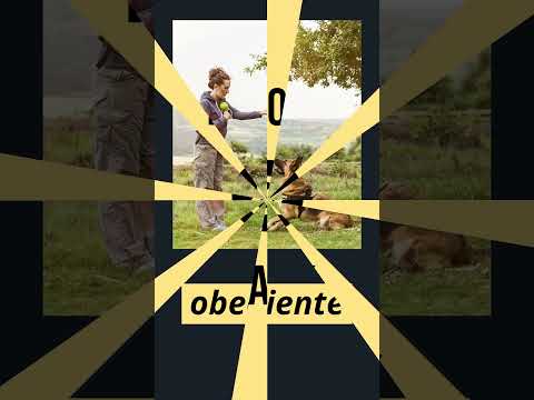 English Spanish Cognates 255