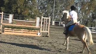 Jump off!!! Wss Amelia and Pixie! 2`6