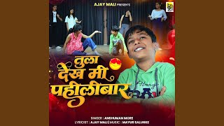 Tula Dekh Mi Pahilibar