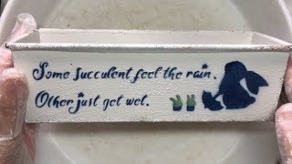 ベランダ多肉70.ハオルチアの植え替え