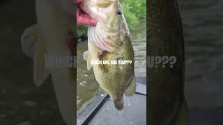 what kind of angler are you?