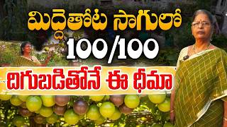 జీరో క్రాప్ నుంచి పంచిపెట్టే స్థాయికి | Terrace Gardener Jayalaxmi #raitunestham