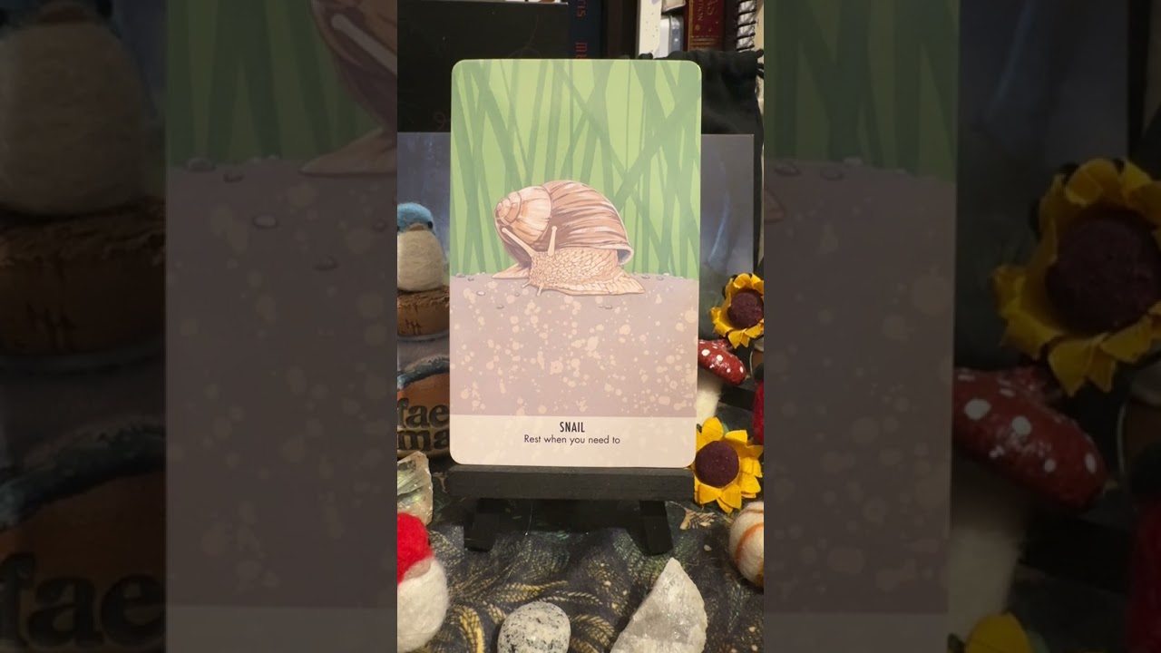 Карта дня из колоды оракула ASMR: Необычные послания животных.