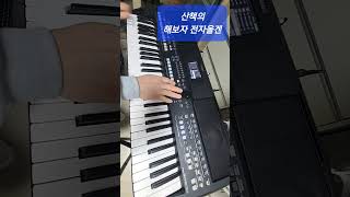 Living next door to Alice - YAMAHA SX600 (amateur player)